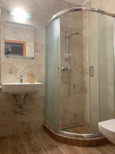 a bathroom with a shower and a sink at Castellum Apartmanház in Gyula