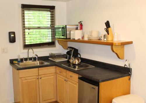a kitchen with a sink and a counter top at Catskill Seasons Inn in Shandaken