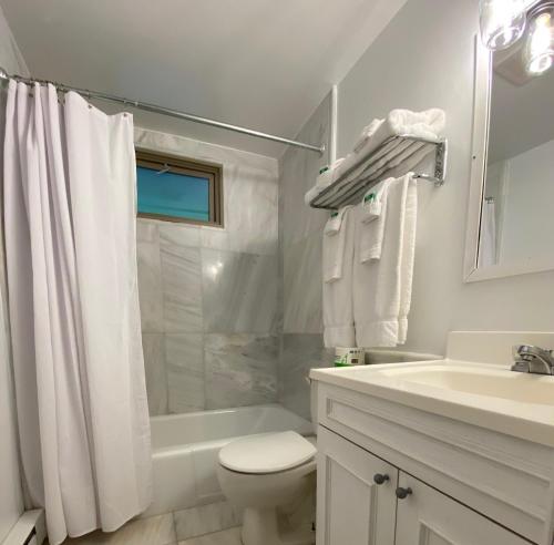 a white bathroom with a toilet and a sink at Catskill Seasons Inn in Shandaken