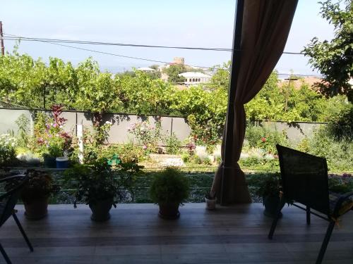 a patio with potted plants and a curtain at Apartment Giorgi in Sighnaghi in Sighnaghi