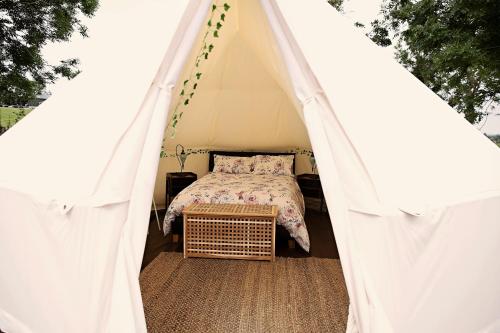 Little River Glamping