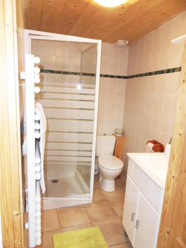 een badkamer met een douche, een toilet en een wastafel bij le Sarto - St Jean de Maurienne in Saint-Jean-de-Maurienne