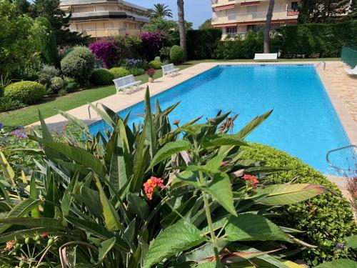 une piscine dans un jardin avec des plantes dans l'établissement Superbe Studio Le pavois, à Antibes