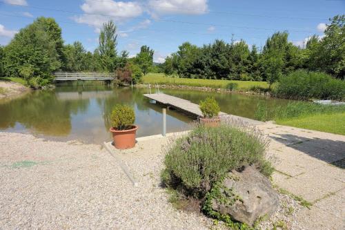 a pond with a bench and plants in it at Tennis Golf Hotel Höllrigl in Kottingbrunn