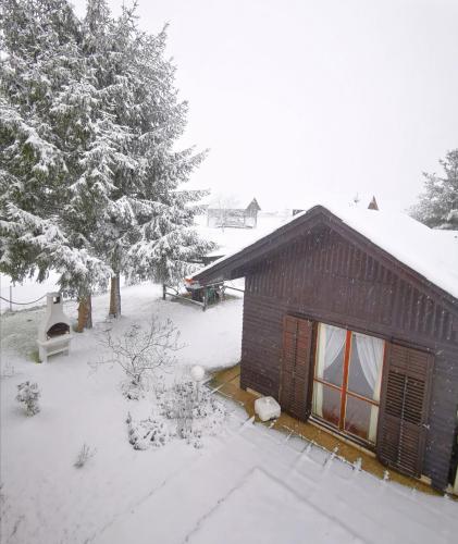 a house covered in snow in front of a yard at MERIKOTKA - a cozy wooden cottage, sLOVEnia in Braslovče
