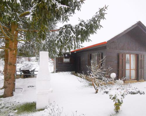 a log cabin in the snow with a tree at MERIKOTKA - a cozy wooden cottage, sLOVEnia in Braslovče
