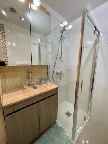 une salle de bain avec une douche en verre et un lavabo dans l'établissement Superbe Studio Le pavois, à Antibes