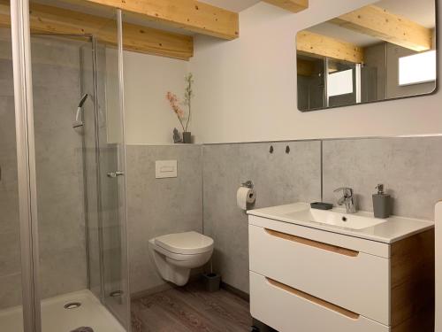 een badkamer met een toilet, een wastafel en een douche bij Appartment am Königsberg, Lössau in Schleiz