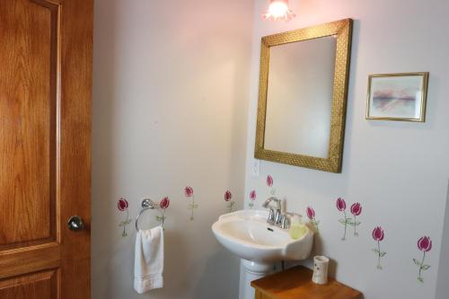 La salle de bains est pourvue d'un lavabo et d'un miroir. dans l'établissement Bed & Breakfast, Gîte La Princesse des Champs, à Boischâtel