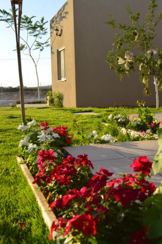 a bunch of red flowers in front of a building at צימר מול השקיעה in Retamim