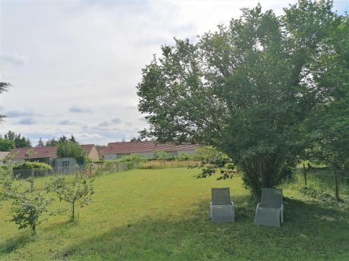 een boom in een veld met twee stoelen eronder bij Les Marguerites, maison proche de Chambord in Bracieux