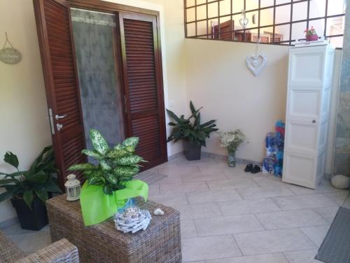 Residenza butterfly IUN R6379 photo 3