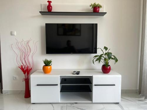 TV i/ili multimedijalni sistem u objektu Lake View Tašić 1