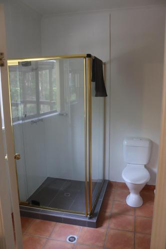 a shower in a bathroom with a toilet at LAKE VIEW CHALET 10 minutes to Australia Zoo Landsborough Montville Maleny Caloundra Beaches Glasshouse mountains Big Kart Track in Landsborough