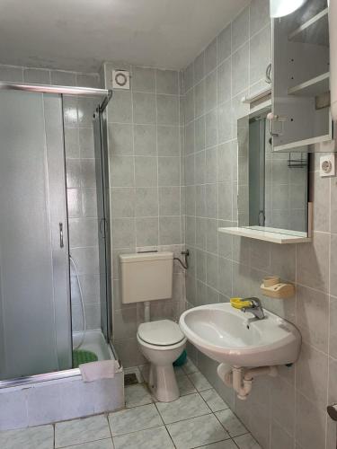 a bathroom with a toilet and a sink and a shower at Apartments Papic in Trogir