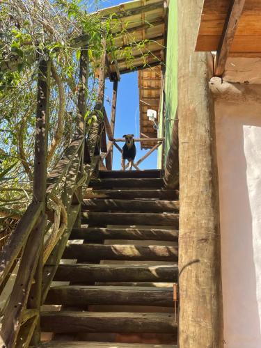 Gallery image of Pousada Casa Mato in Taubaté