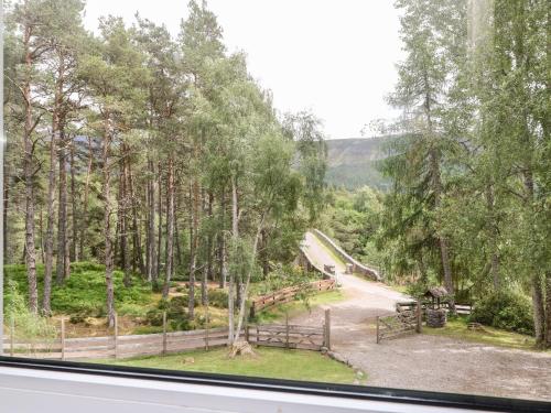 a view of a forest from a window at Tigh Na Drochit in Garve