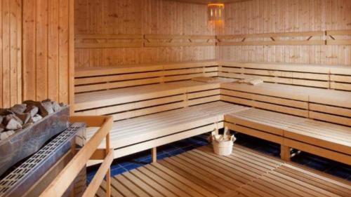 a sauna with wooden benches in a room at Apartmány wellness Frymburk in Frymburk