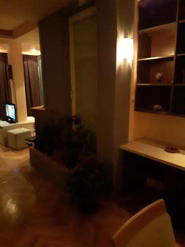a blurry picture of a living room with a television at IVAN Apartment in Peštani
