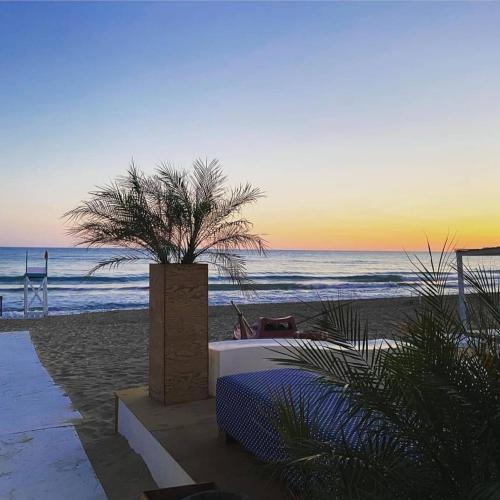 a palm tree sitting on the beach at sunset at Villa Residenza Medea in Villaggio Mosè