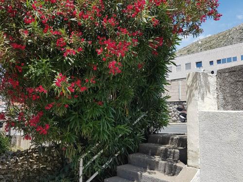 un árbol con flores rojas al lado de una escalera en Studios IM en Dubrovnik
