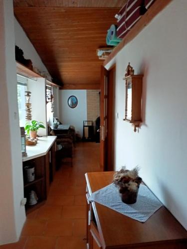 a kitchen with a table with a cat sitting on it at Ubytování v Tučapech 96 in Boršice