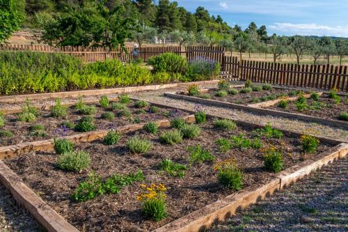 a row of raised garden beds with plants at Hotel & Resort Vilar Rural d'Arnes by Serhs Hotels in Arnés
