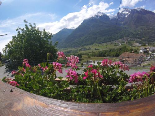 a pot of flowers with mountains in the background at B&B La Mandorla in Quart