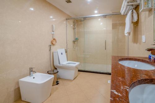 a bathroom with a toilet and a sink and a shower at The Grand Palace Hotel in Addis Ababa
