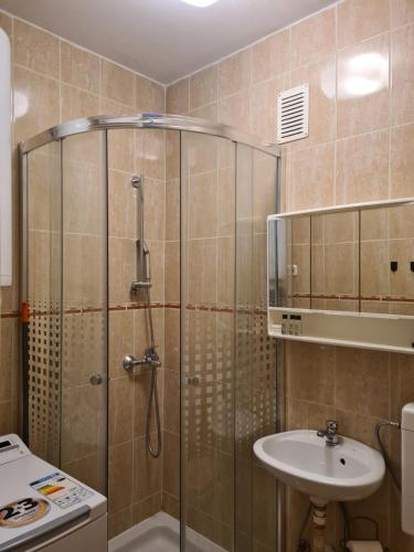 a bathroom with a shower and a sink at Apartment Dada in Pula