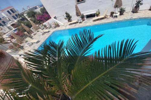 a palm tree in front of a swimming pool at Kasteli Studios & Apartments in Panormos Rethymno
