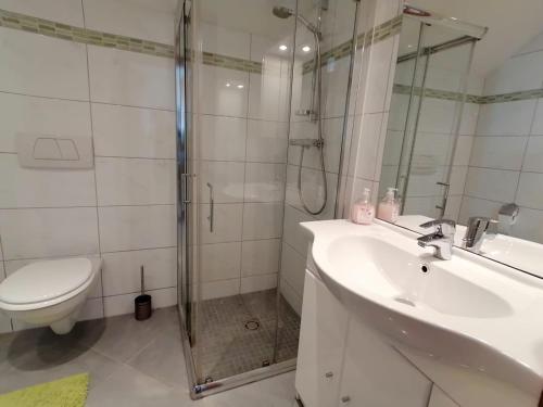 W łazience znajduje się prysznic, umywalka i toaleta. w obiekcie Apartment Bauer w mieście Mariapfarr