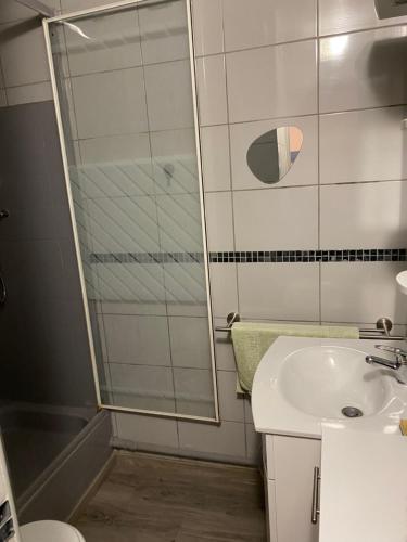 une salle de bain avec douche et lavabo dans l'établissement Studio cabine avec loggia, au Cap d'Agde