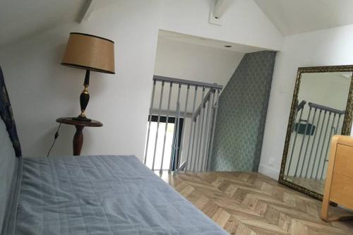 a bedroom with a bed with a lamp and a mirror at La petite Brainoise - Gîte avec salle jacuzzi 120 jets in Braine