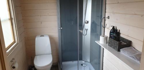 La salle de bains est pourvue de toilettes et d'une douche en verre. dans l'établissement Hvammur 5 with private hot tub, à Drangsnes