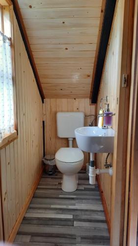 La petite salle de bains est pourvue de toilettes et d'un lavabo. dans l'établissement Guesthouse ANKL, à Lesce