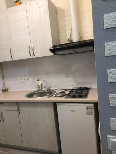 a small kitchen with a sink and a stove at Devolano 1 in Odesa