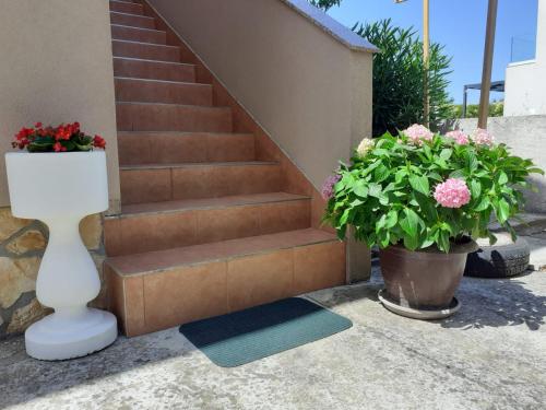 Photo de la galerie de l'établissement Apartmani Sanda i Leo, à Bibinje