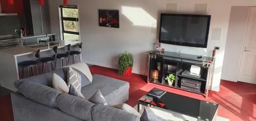 ein Wohnzimmer mit einem Sofa und einem TV in der Unterkunft De Vine Martinborough 14 Cologne Street in Martinborough 