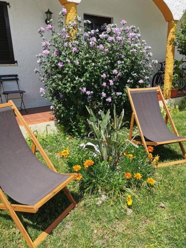 two lawn chairs sitting in a yard with flowers at Casa das Portas in Azinhaga