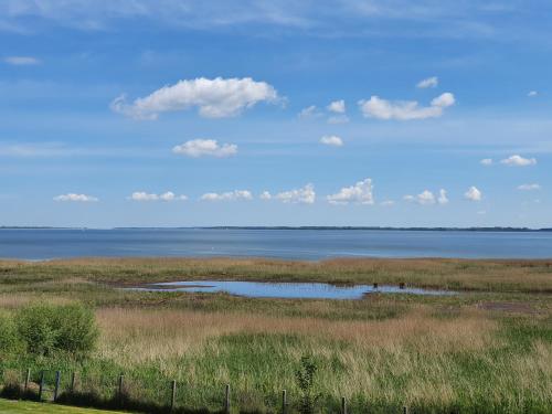 a field with a body of water and a fence at Ferienhaus Grabowblick in Barth