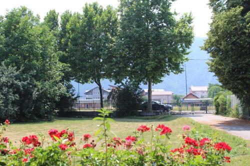 un giardino con fiori rossi, alberi e case di Villa Čengić a Sarajevo