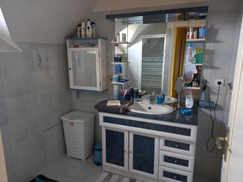 uma casa de banho com um lavatório e um espelho em Chez Patrick em Maizet