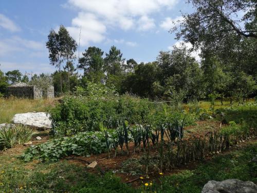 Κήπος έξω από το Casal das Fontainhas