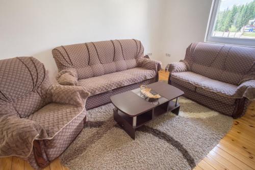 a living room with two couches and a coffee table at Apartments Dedeic in Žabljak