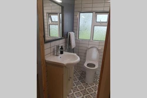 ein Bad mit einem Waschbecken und einem WC in der Unterkunft Country Cabin Retreat, Ireland's Hidden Heartland F35 YC67 in Ballyhaunis