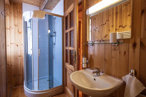 een badkamer met een wastafel en een glazen douche bij Penzion Statek u Rajtrů in Bedřichov
