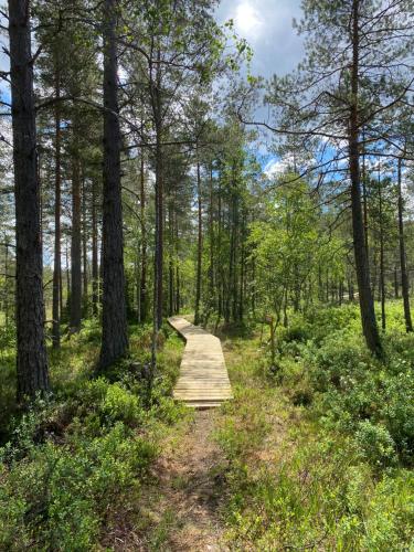 a wooden path through a forest with trees at Nyhyttan Nora Bergslagen The Three Birches in Nora