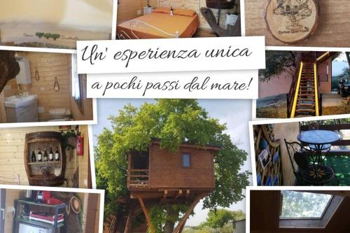 Φωτογραφία από το άλμπουμ του Casa sull'Albero Treehouse Costa dei Trabocchi σε Torino di Sangro