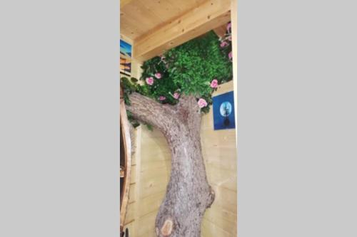 Φωτογραφία από το άλμπουμ του Casa sull'Albero Treehouse Costa dei Trabocchi σε Torino di Sangro
